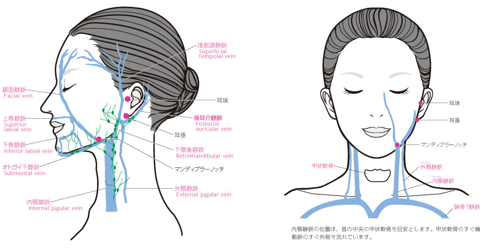 巡活マッサージⓇ Beauty ーWell Aging Head Care ー